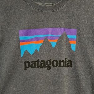 Patagonia T-shirt